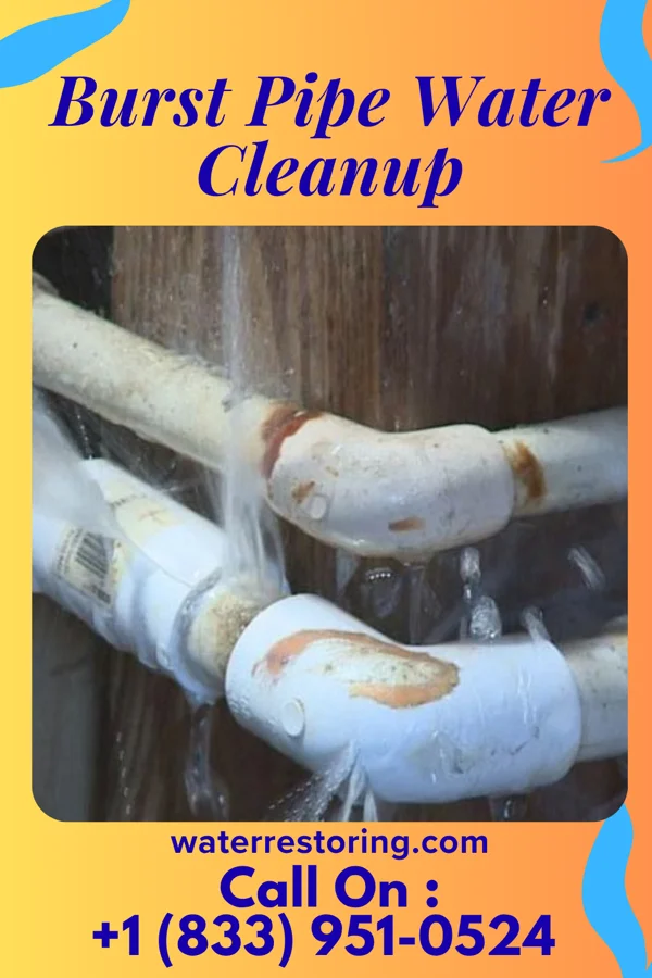 Burst Pipe Water Cleanup in La Crosse, WI