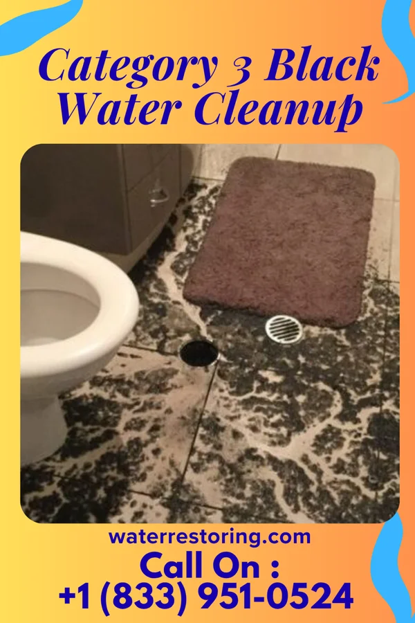 Category 3 Black Water Cleanup in La Crosse, WI