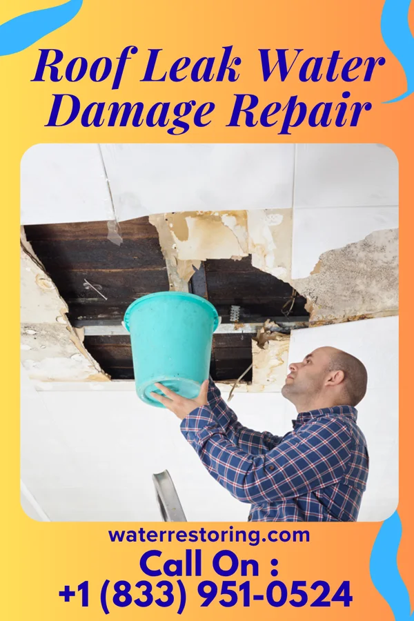Roof Leak Water Damage Repair in La Crosse, WI