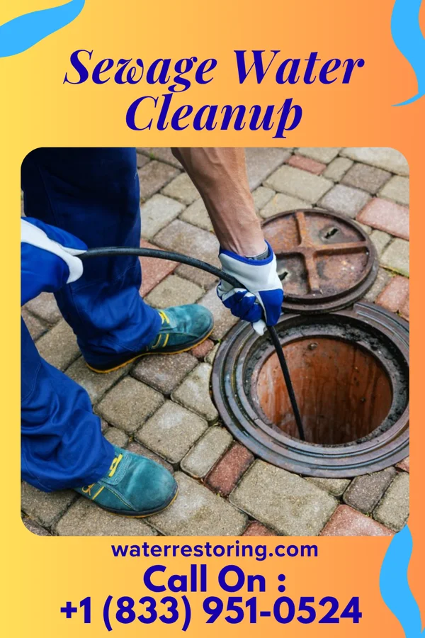 Sewage Water Cleanup in La Crosse, WI